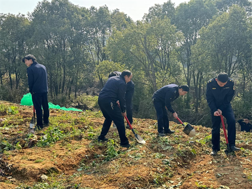 1710234477585476.png 图片1.png