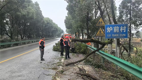 1741671006146703.png 图片1.png