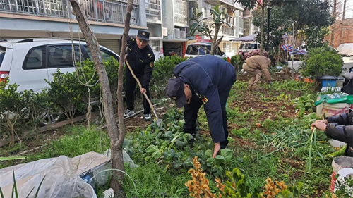 1742268816945376.png 图片46.png