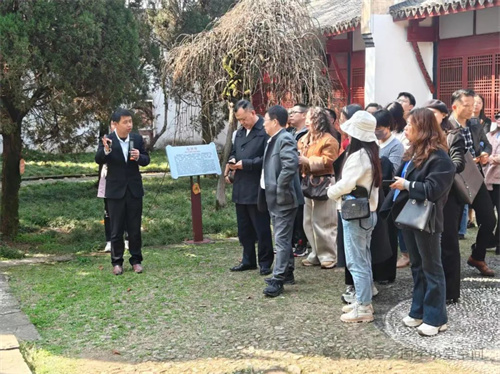 1743130106307840.jpg 640 (4).jpg