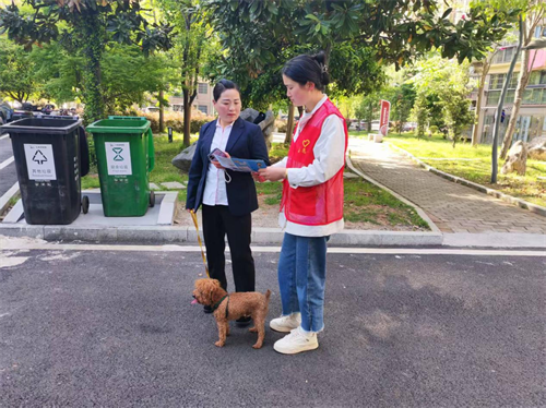 1744775785272165.png 图片306.png