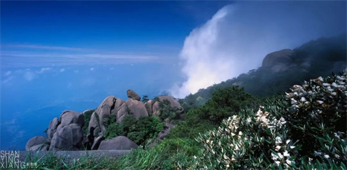 1745217931639433.jpg 微信图片_20250421144426.jpg