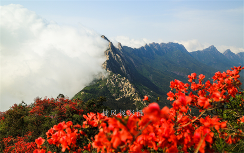 1745217956253416.png 微信图片_20250421144433.png