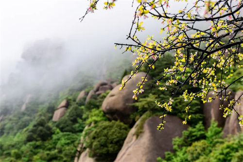 1745218009879922.jpg 微信图片_20250421144440.jpg