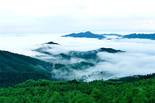 1745218015941442.jpg 微信图片_20250421144442.jpg