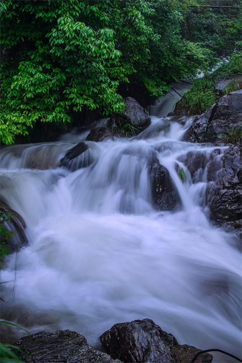 1745218044289634.jpg 微信图片_20250421144448.jpg