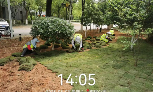 图片4.png