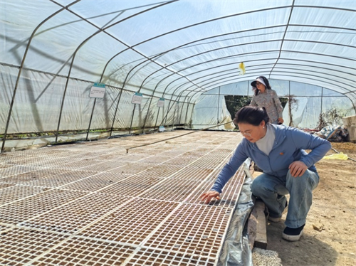 1747790988181027.png 图片1.png