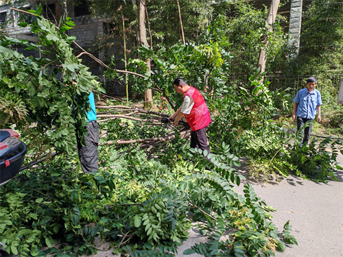 1748315892345350.png 图片15.png