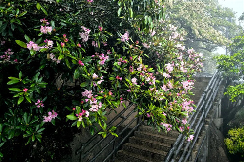 1748570207908411.jpg 640.jpg