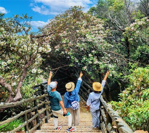 1748570231473909.jpg 640 (2).jpg