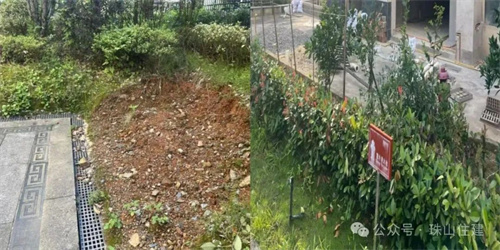 1749102415102306.jpg 640 (6).jpg