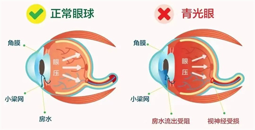 1749436036384838.jpg 640 (1).jpg