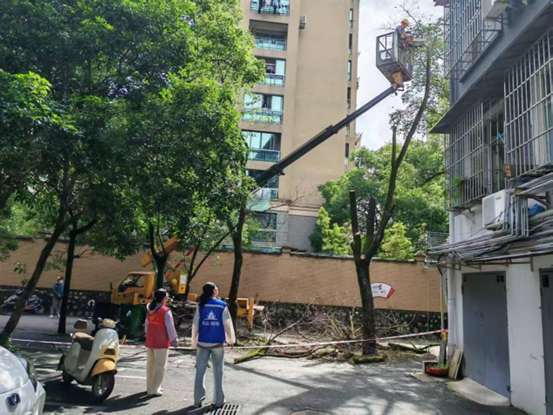 1750039490998156.png 575d633e8d42ab7dc02b5be5ccbd9d5.png