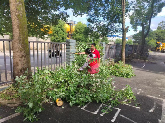 1750039511589038.png fc73344eeb3b8d8cf36d5ca09a999e4.png