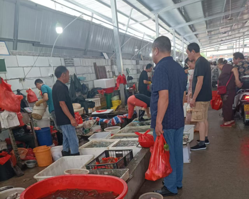 1750047671784435.png 661387a7561a6c6334dc01d6ae61f43.png