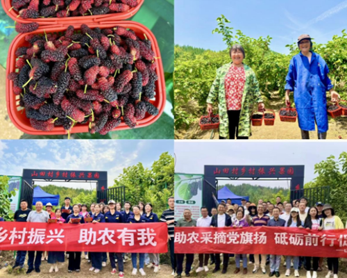 1750130939282181.png 6a9b195ca19c3915320e31b76d6c6aa.png