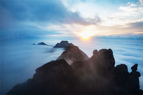 1750312730239293.jpg 640 (3).jpg