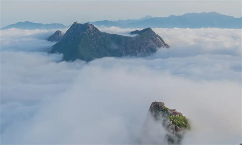 1752630778853840.jpg 640 (4).jpg