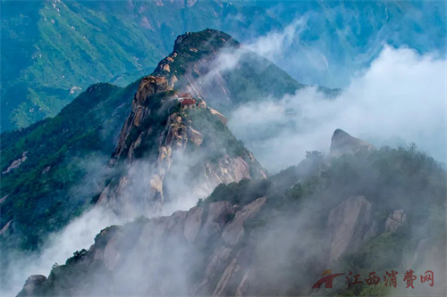 1753689920774870.jpg 640 (3).jpg