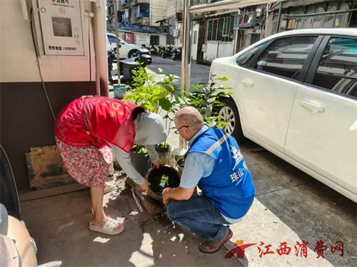 1754383700636592.png 12.png