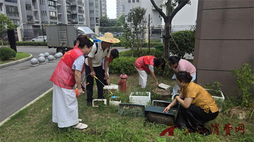 1754443172112661.png 19.png