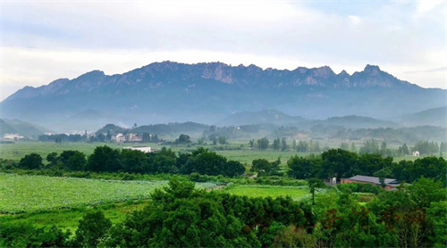 1757294729332752.jpg 640 (4).jpg