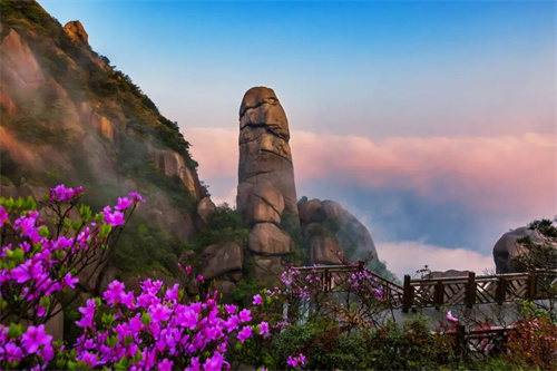 1757294787121115.jpg 640 (6).jpg