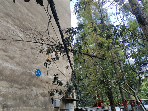 1758872429469345.png 41.png