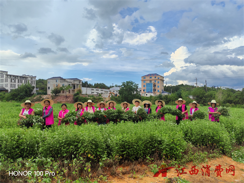 1759027291544989.png 63.png