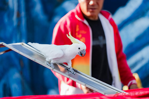 1759043272653170.png 图片3.png