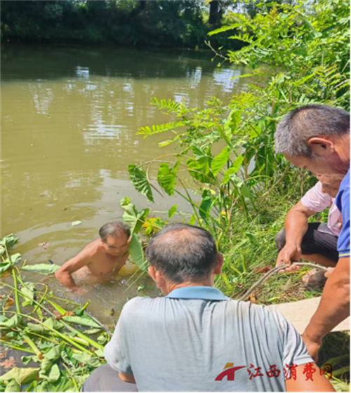 1761181998483100.png 图片2.png