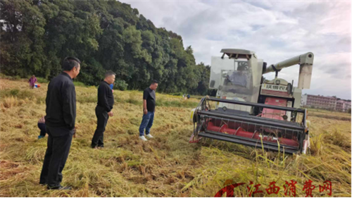 1761182007302212.png 图片3.png