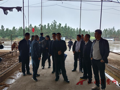 1761874738876356.png 图片9.png