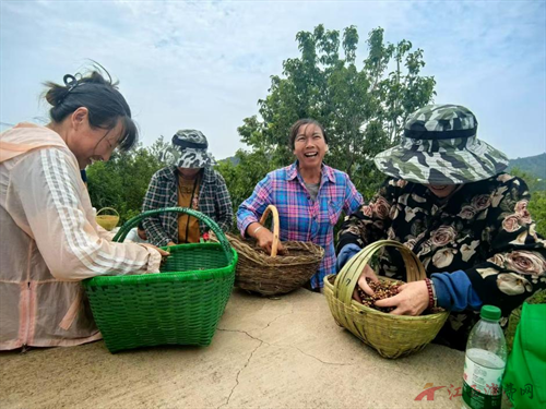 1762136620209082.png 图片3.png