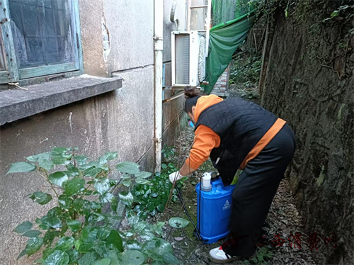 1763343126166741.png 图片19.png