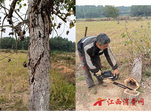 1764906418128536.png 图片3.png