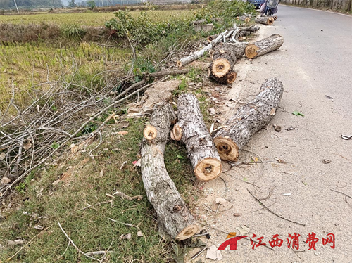 1764906435880042.png 图片4.png