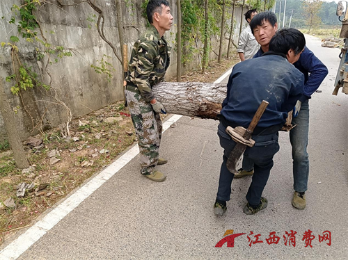 1764906444570102.png 图片5.png