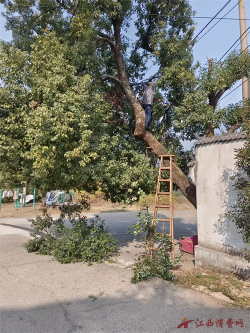 1765777300210895.png 图片9.png