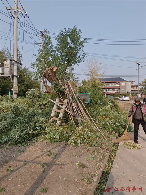 1765777309449772.png 图片10.png