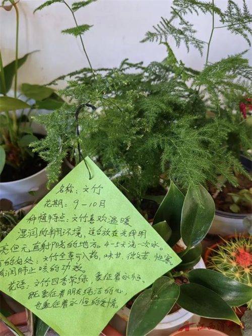 1766367369620541.png 图片1.png