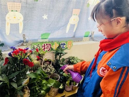 1766367376932882.png 图片2.png