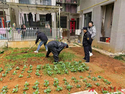 1766555096736157.png 图片8.png