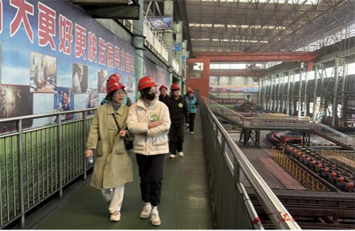 1766565445811668.png 图片16.png