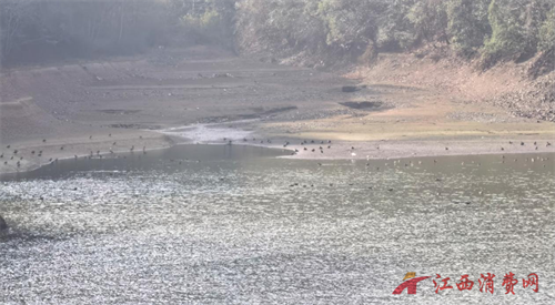 1766739785428160.png 图片7.png