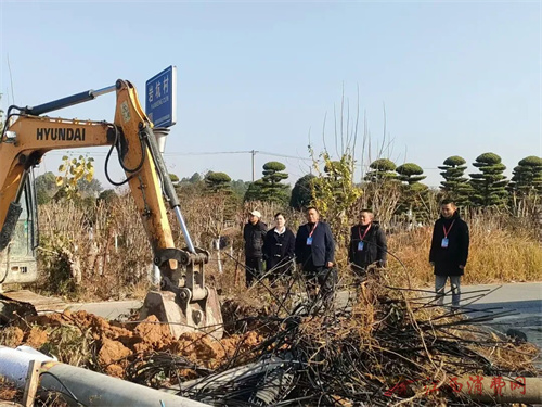 1767146094321401.jpg 640.jpg