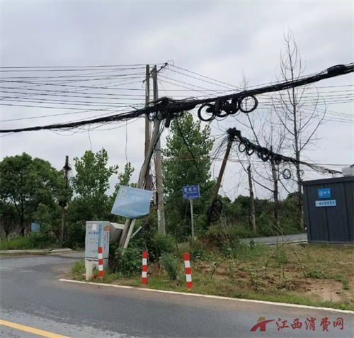 1767146097198201.jpg 640 (1).jpg