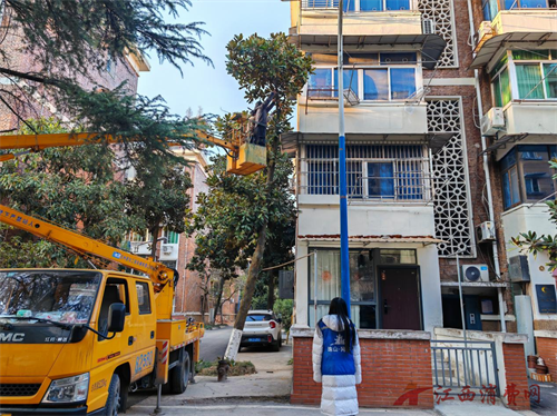 1767945177175591.png 图片1.png