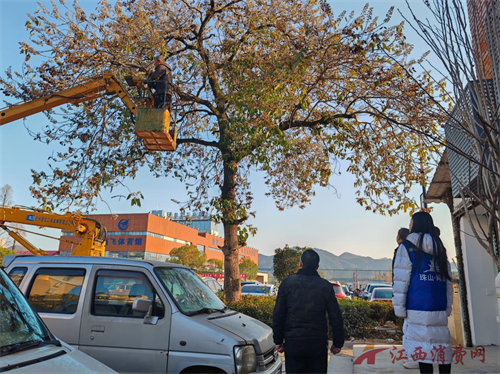 1767945186655384.png 图片2.png